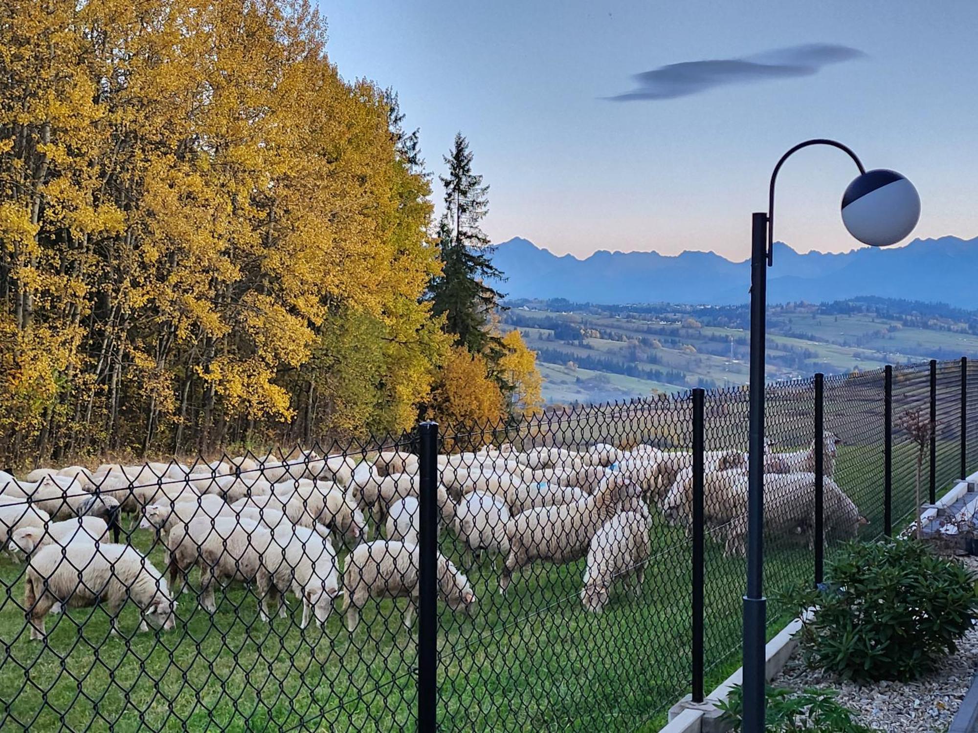 Dworek Nad Jalowcami Biały Dunajec Dış mekan fotoğraf